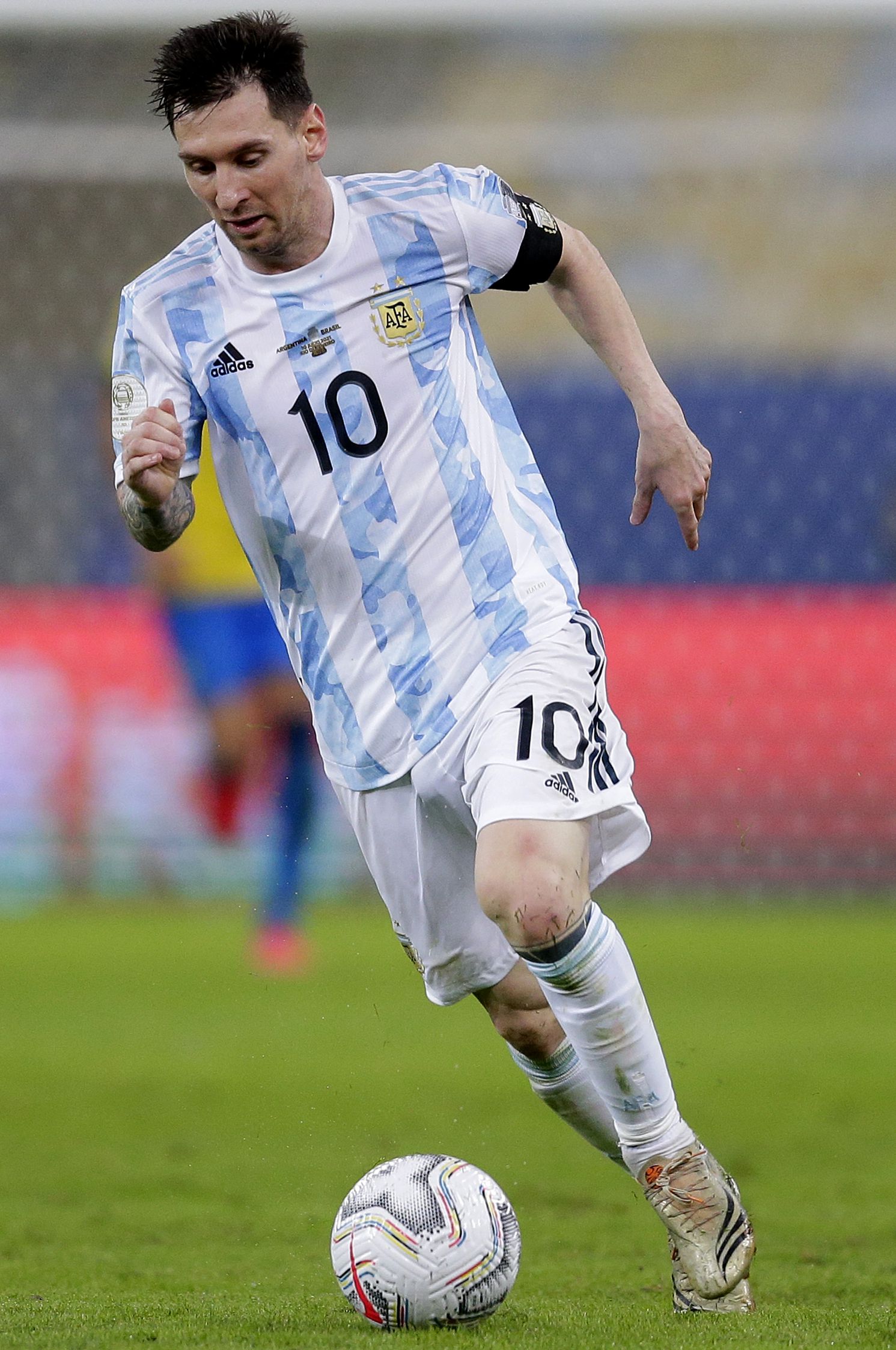 波斯丰富的 波斯丰富的