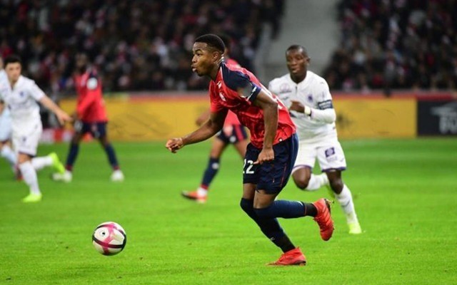 现代化的阐 现代化的阐